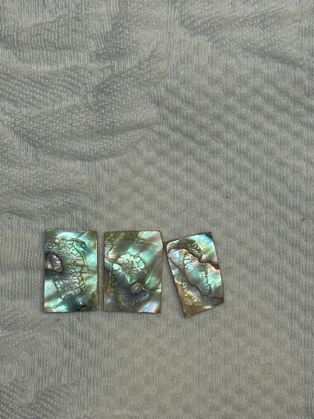 3 Abalone Pieces with high flash